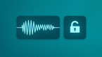 Your voice is my password